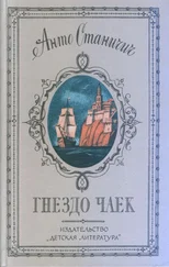 Анто Станичич - Гнездо чаек