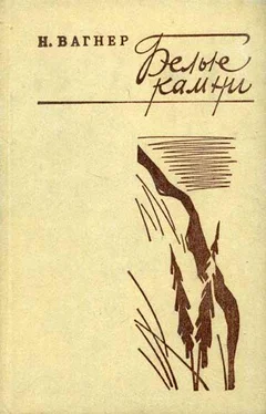 Николай Вагнер Белые камни обложка книги