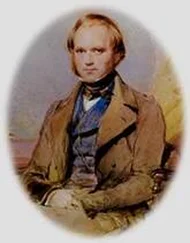 Чарлз Дарвин - Путешествие натуралиста вокруг света на корабле Бигль