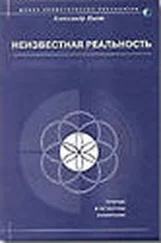 Александр Пинт - Неизвестная реальность