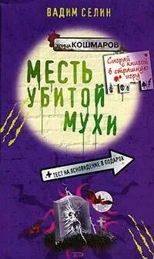 Вадим Селин Месть убитой мухи обложка книги