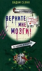 Вадим Селин - Верните мне мозги!