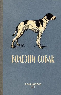 Лидия Панышева Болезни собак (незаразные) обложка книги