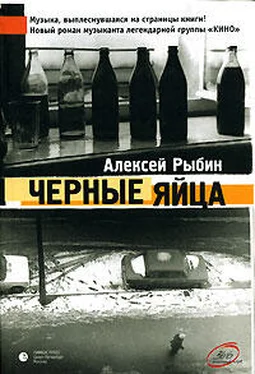 Алексей Рыбин Ослепительные дрозды (Черные яйца) обложка книги