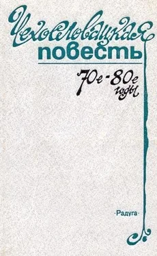 Валя Стиблова Скальпель, пожалуйста! обложка книги