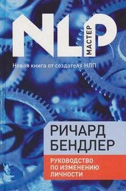 Ричард Бендлер Руководство по исправлению личности обложка книги