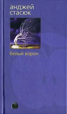 Анджей Стасюк Белый ворон обложка книги