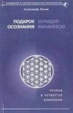 Александр Пинт Подарок осознания обложка книги