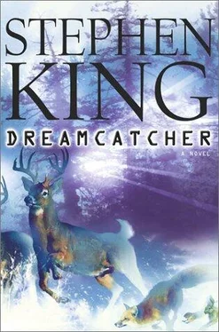 Stephen King Dreamcatcher обложка книги