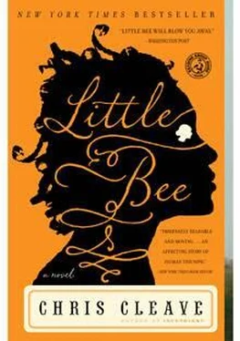 Chris Cleave Little Bee обложка книги