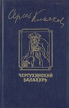 Сергей Клычков Чертухинский балакирь обложка книги