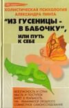 Александр Пинт Из гусеницы — в бабочку, или Путь к себе (версия 2009)