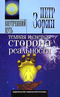 Петр Зорин Темная и светлая сторона реальности обложка книги