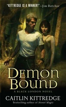 Caitlin Kittredge Demon Bound обложка книги