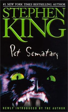 Stephen King Pet Sematary обложка книги