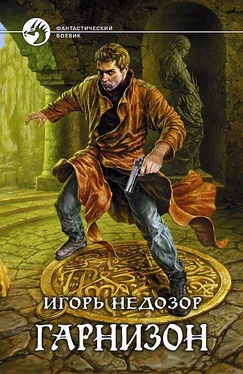 Игорь Недозор Гарнизон обложка книги