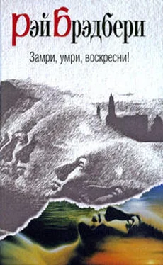 Рэй Брэдбери Травинка обложка книги