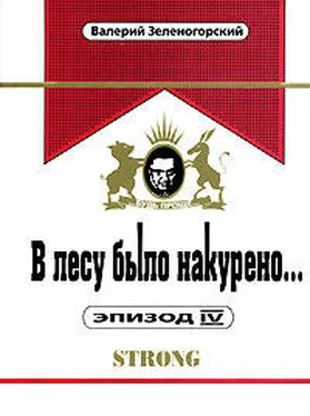 Валерий Зеленогорский В лесу было накурено… Эпизод 4 обложка книги