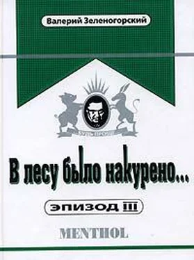 Валерий Зеленогорский В лесу было накурено… Эпизод 3 обложка книги