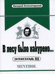 Валерий Зеленогорский - В лесу было накурено… Эпизод 3