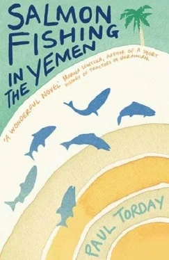 Paul Torday Salmon Fishing in the Yemen обложка книги