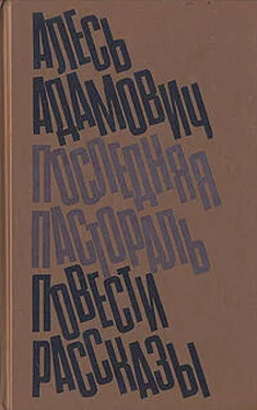 Алесь Адамович Последняя пастораль обложка книги