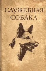 Леонид Крушинский - Служебная собака. Руководство по подготовке специалистов служебного собаководства