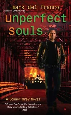 Mark Del Franco Unperfect Souls обложка книги