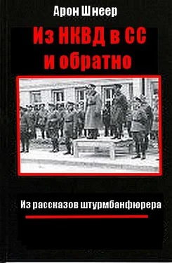 Арон Шнеер. Из НКВД в СС и обратно. (Из рассказов штурмбаннфюрера) обложка книги