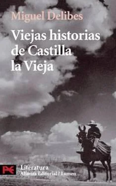 Miguel Delibes Viejas historias de Castilla la Vieja обложка книги