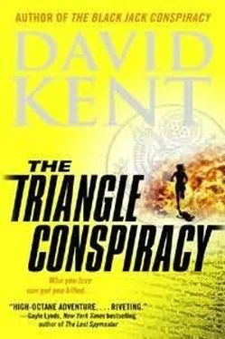 David Kent The Triangle Conspiracy обложка книги