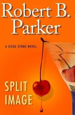 Robert Parker Split Image обложка книги