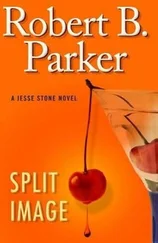 Robert Parker - Split Image