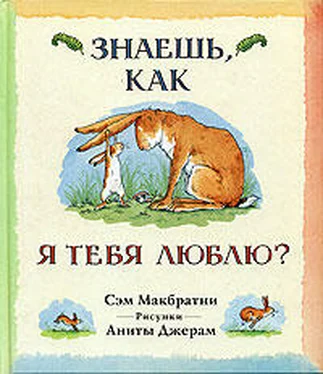 Сэм Макбратни Знаешь, как я тебя люблю? обложка книги