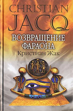 Кристиан Жак Возвращение фараона обложка книги