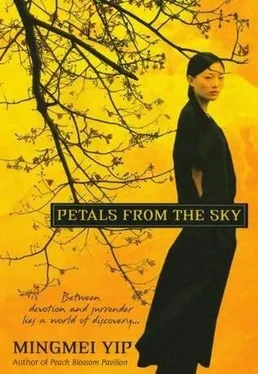Mingmei Yip Petals from the Sky обложка книги
