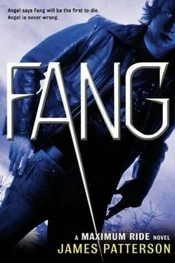 James Patterson Fang обложка книги