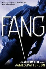 James Patterson - Fang