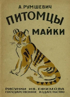 А Румшевич Питомцы Майки обложка книги