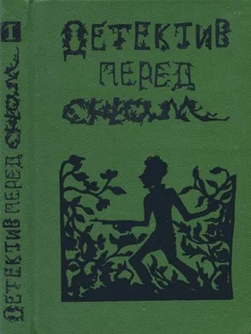 Петер Аддамс Детектив перед сном обложка книги