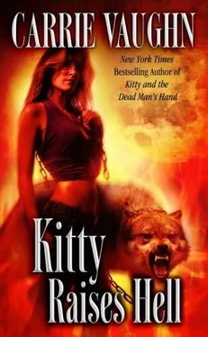 Carrie Vaughn Kitty Raises Hell обложка книги