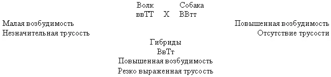 Гиляцких лаек с немецкими овчарками Итак основными допущениями сделанными в - фото 3