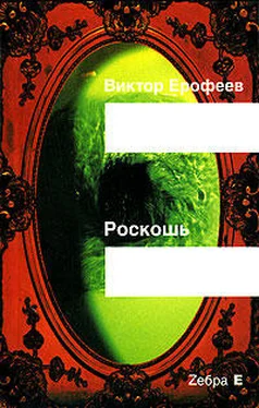 Виктор Ерофеев Роскошь(рассказы) обложка книги