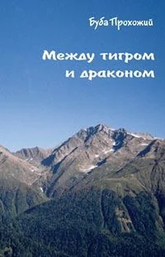 Буба Прохожий Между тигром и драконом обложка книги