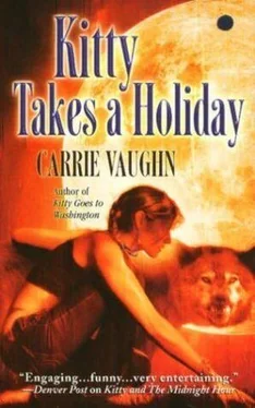 Carrie Vaughn Kitty Takes a Holiday обложка книги