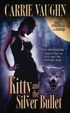 Carrie Vaughn Kitty and the Silver Bullet обложка книги