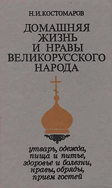 Николай Костомаров Домашняя жизнь и нравы великорусского народа в XVI и XVII столетиях (очерк) обложка книги