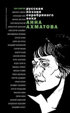 Анна Ахматова Стихотворения и поэмы обложка книги