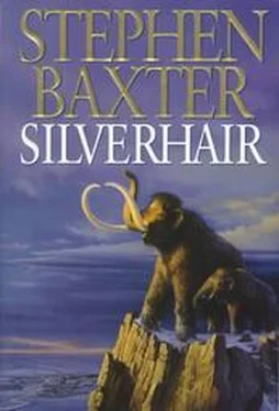 Stephen Baxter Silverhair обложка книги