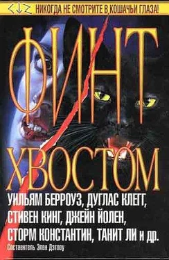 Сторм Константин Все от кошки лишь кожа ее обложка книги